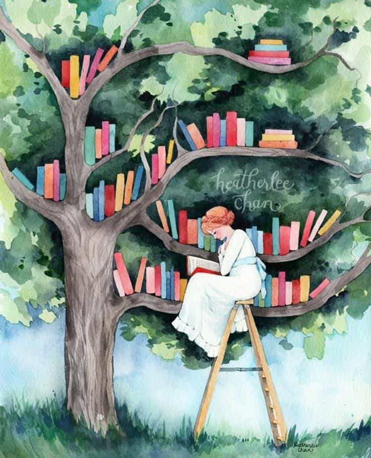 Books DP