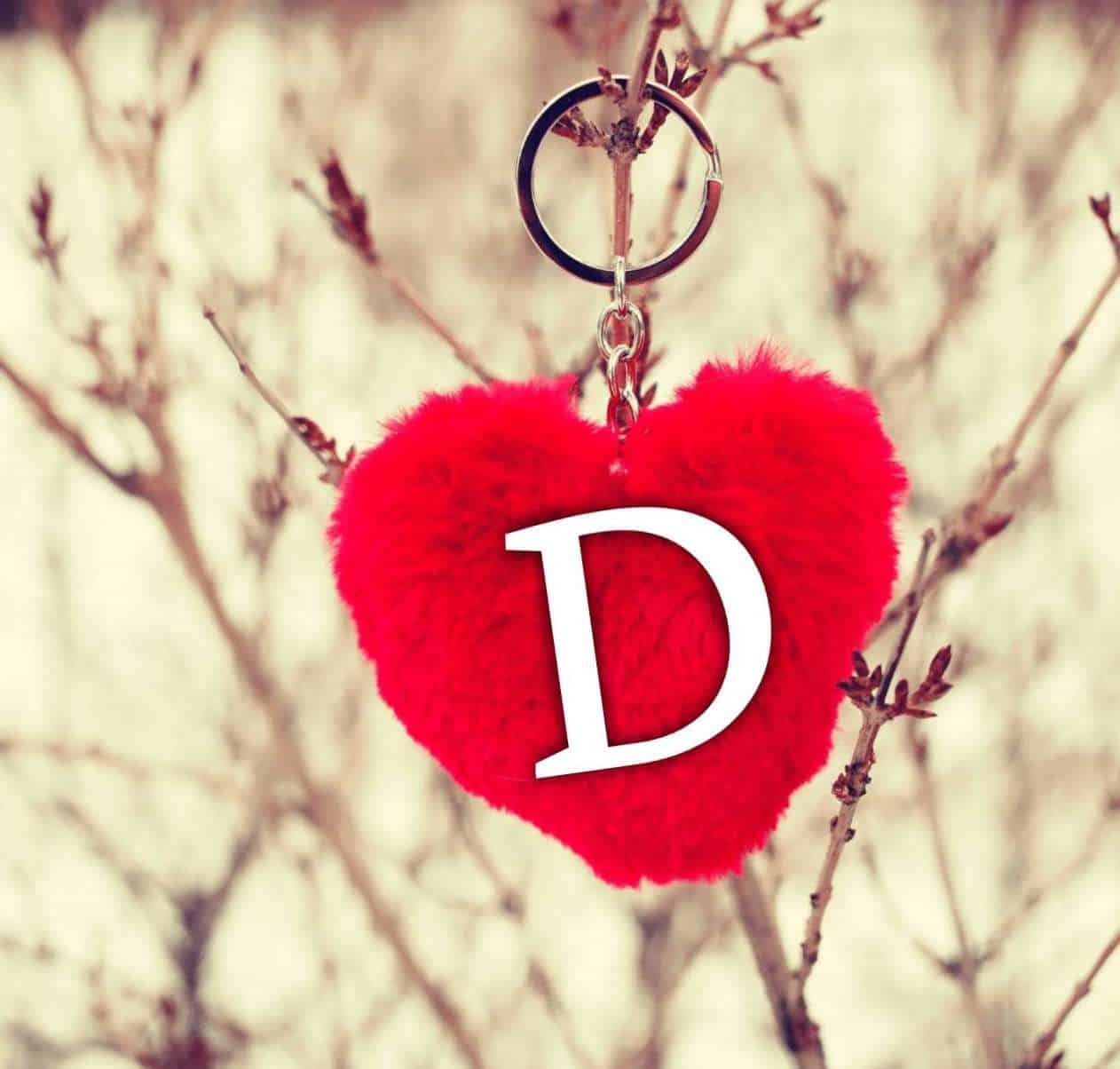 D Name DP HD