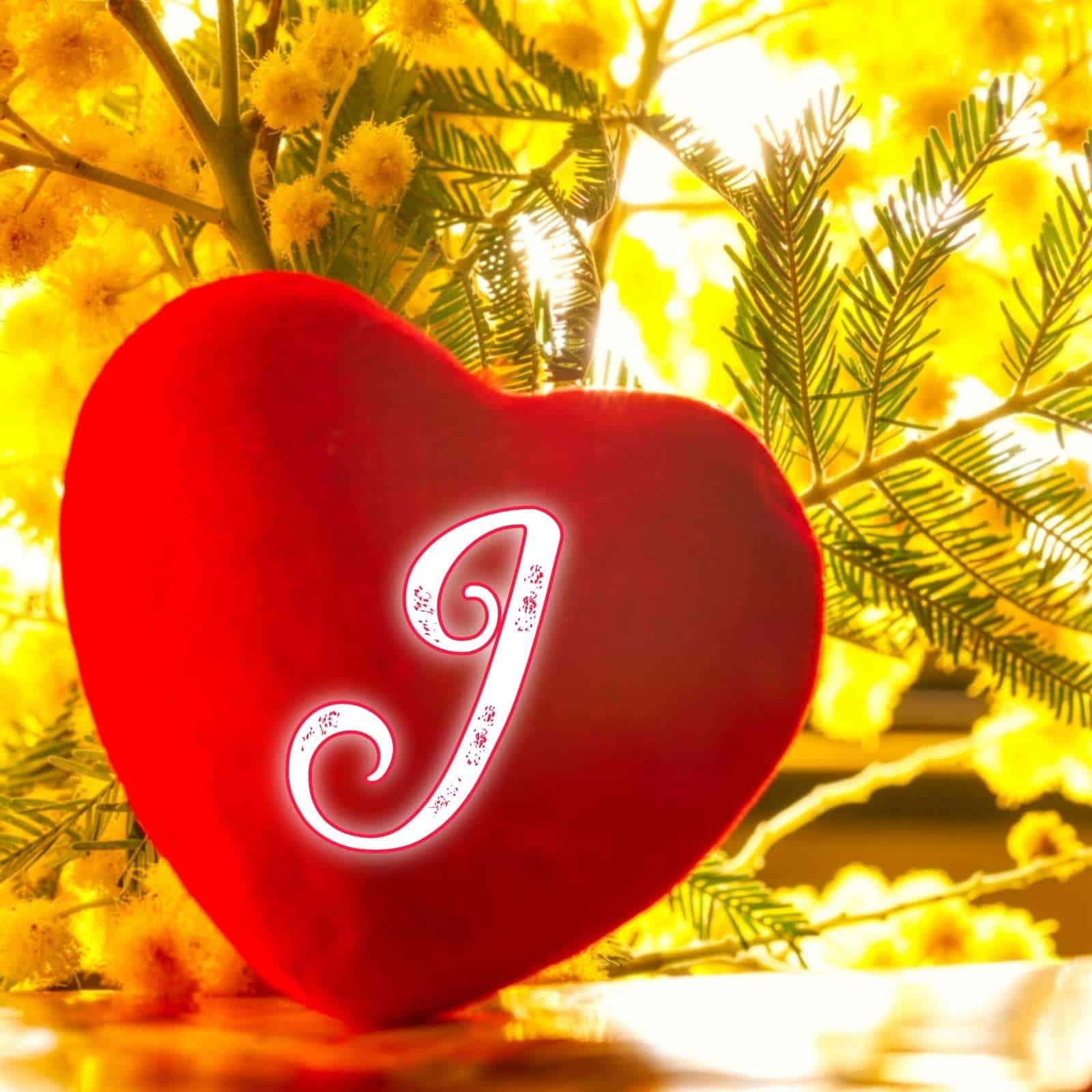 Love J Name DP