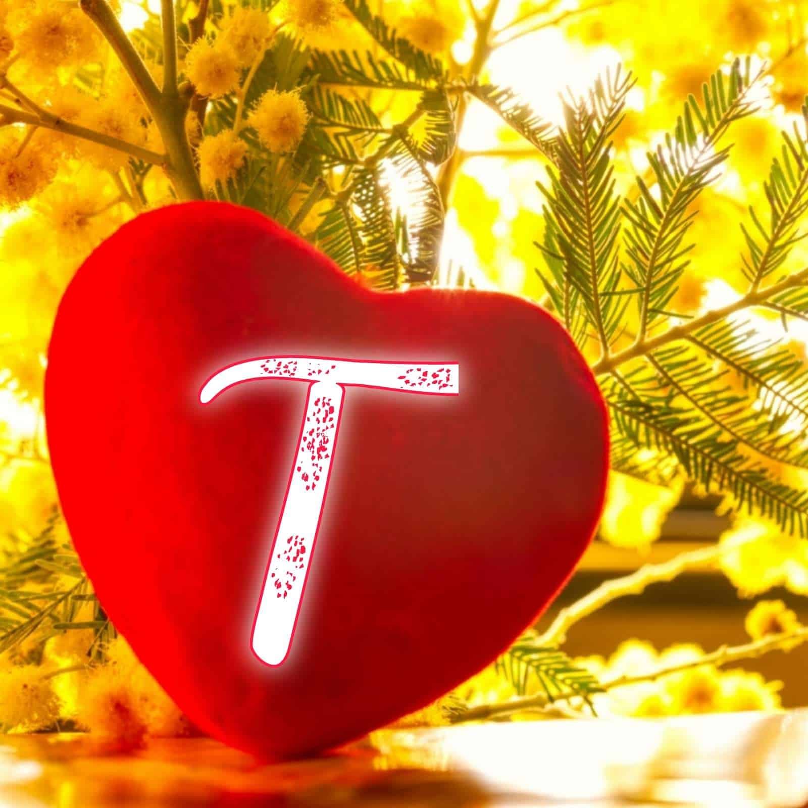 T Name Image DP