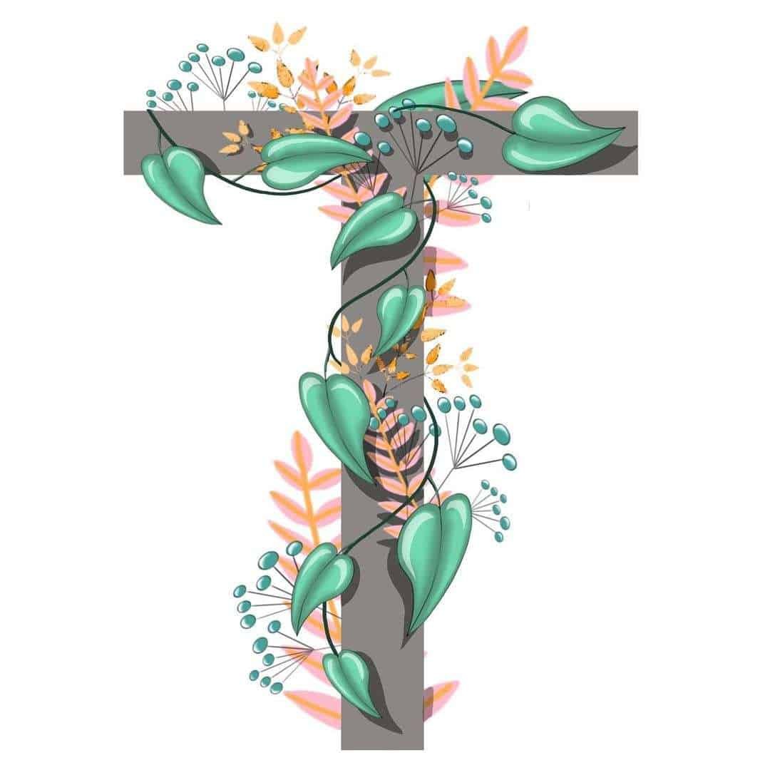 New T Name DP