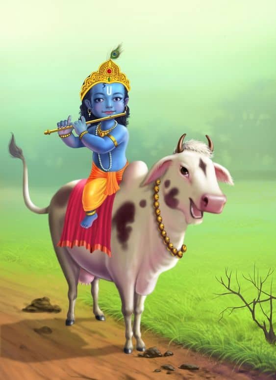 Cute Kanha Ji Images
