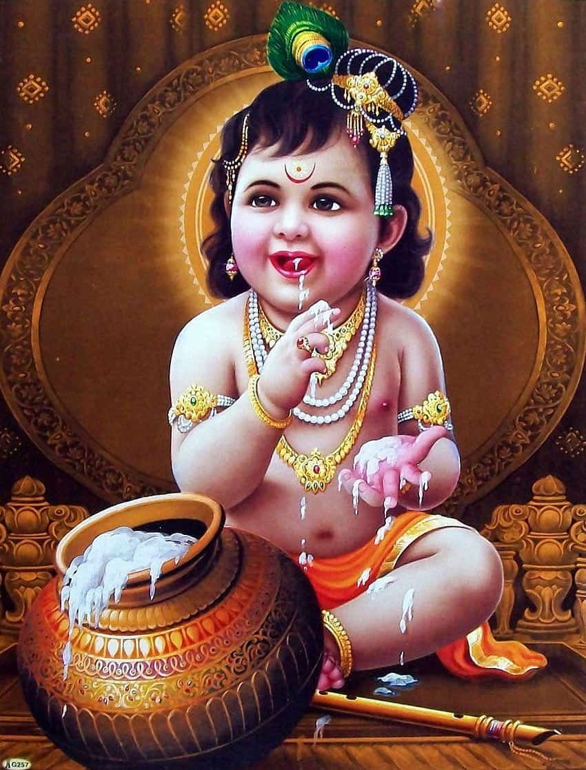 Kanha Images HD