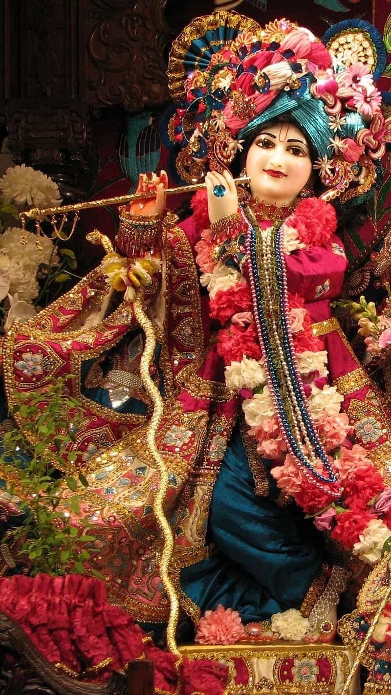 Kanha Images HD