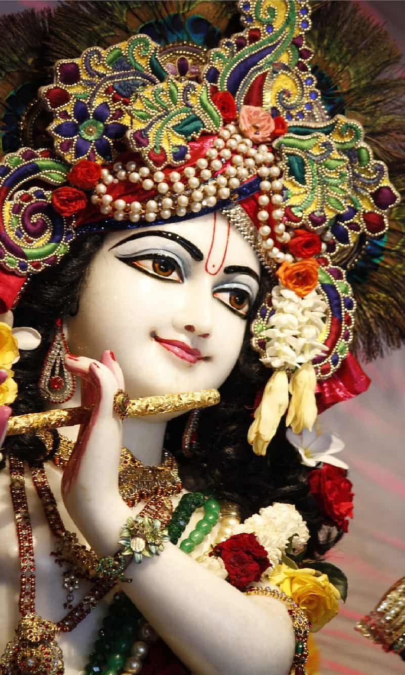 Kanha Images HD