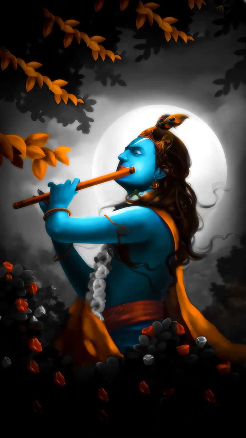 Kanha Photo