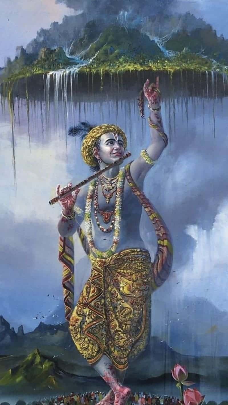 Kanha Photo