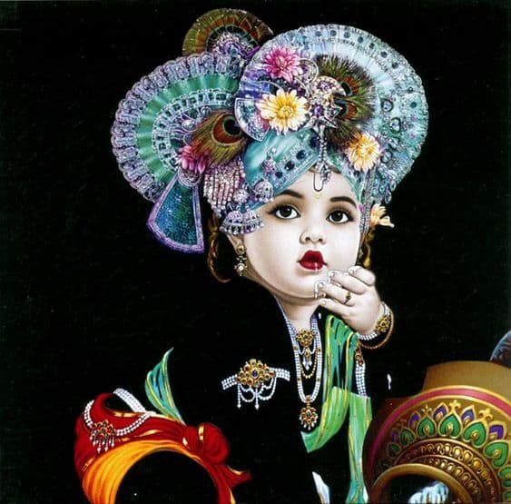 Kanha Photo