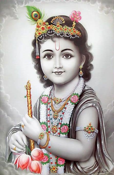Kanha Photo