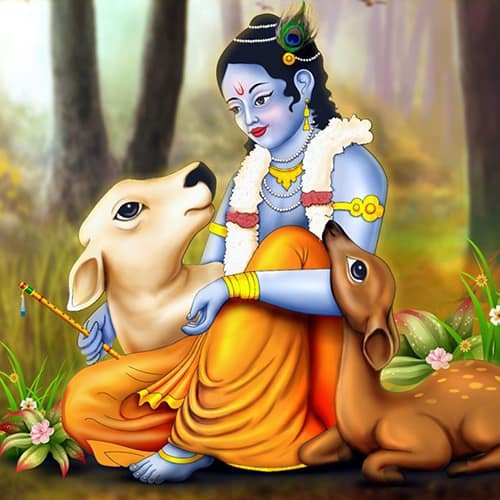 Kanha Ji Ki Photo