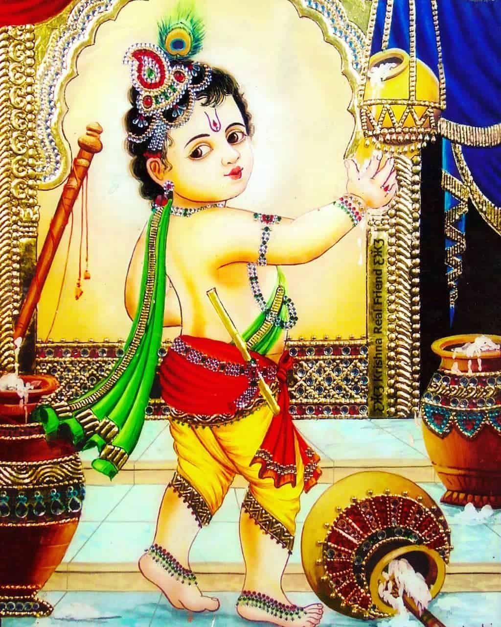 Kanha Pics