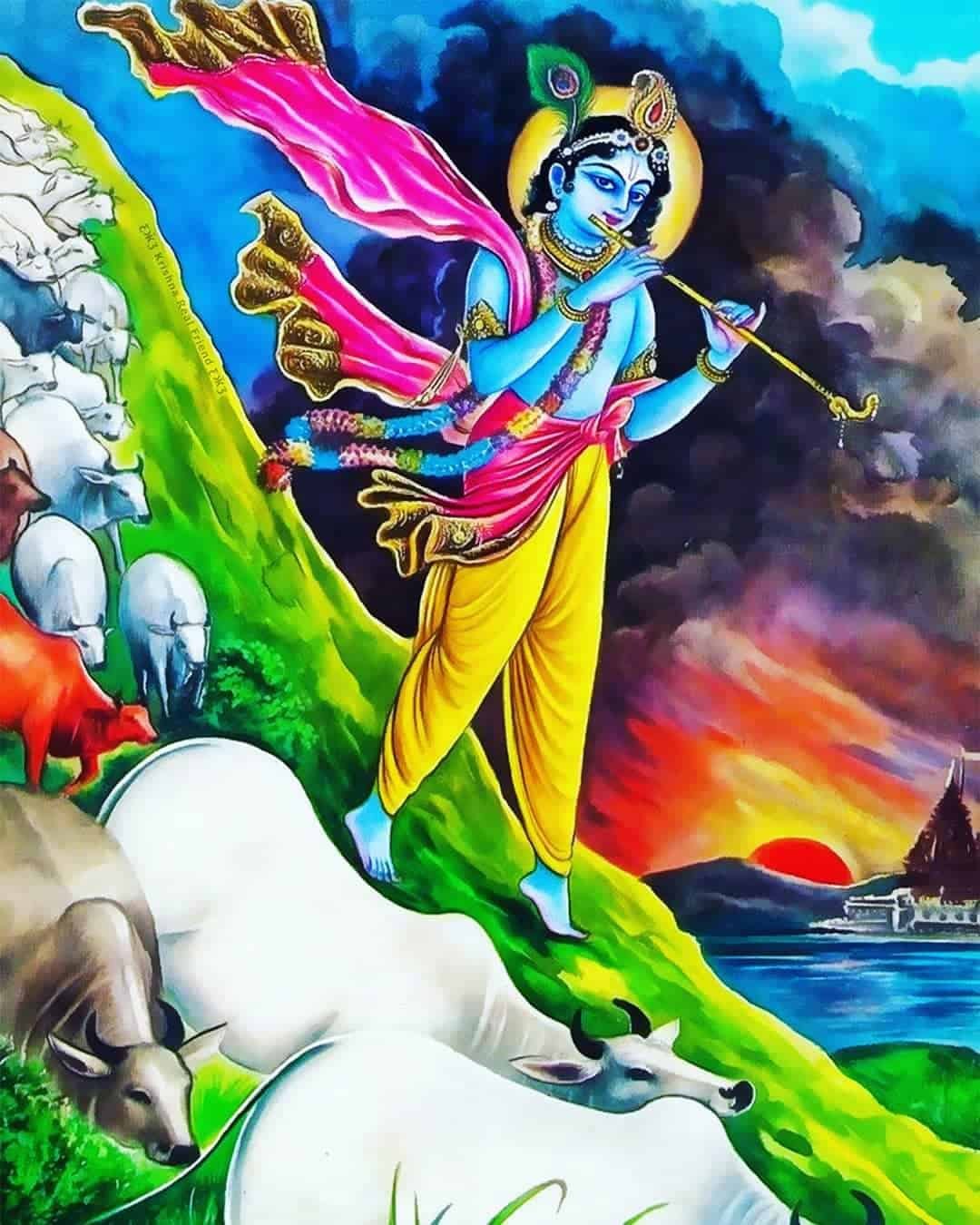 Kanha Pics