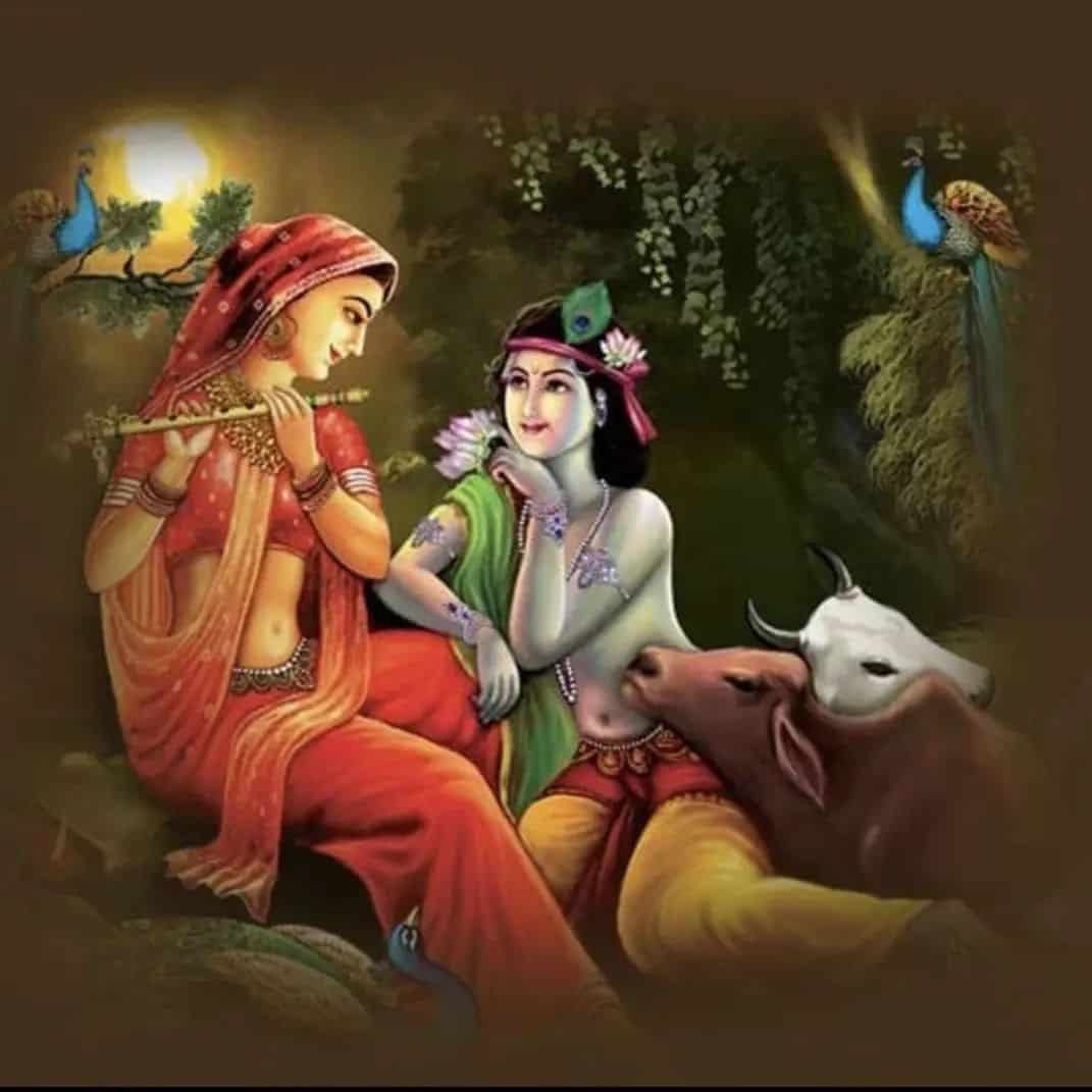 Kanha Wallpaper