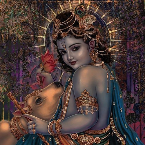 Kanha Ji Images
