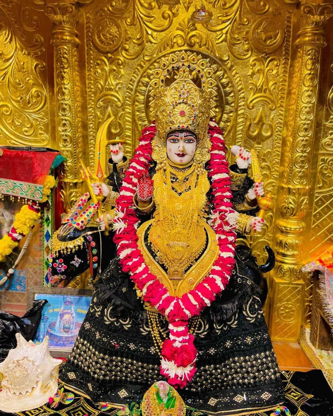 Jay Meldi Maa Photo