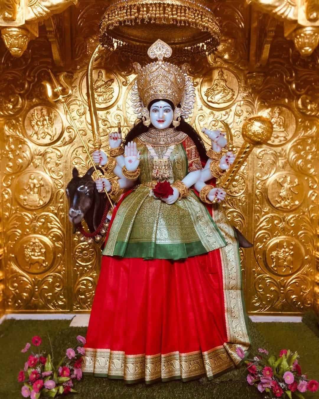 Meldi Maa Pic