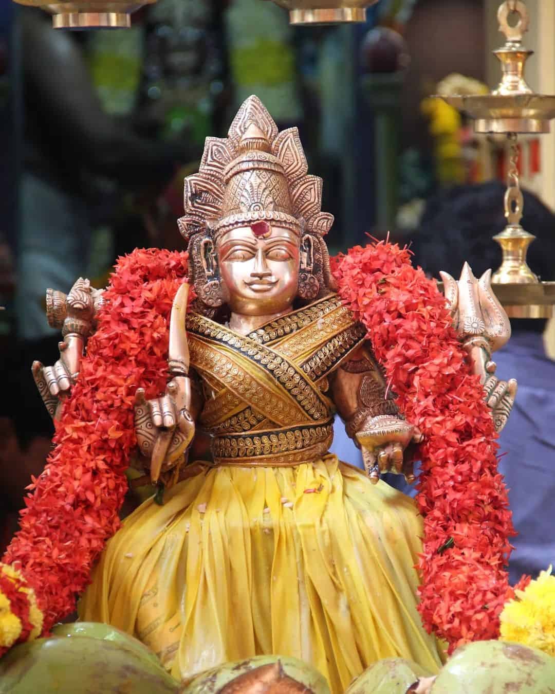 Amman Photos HD
