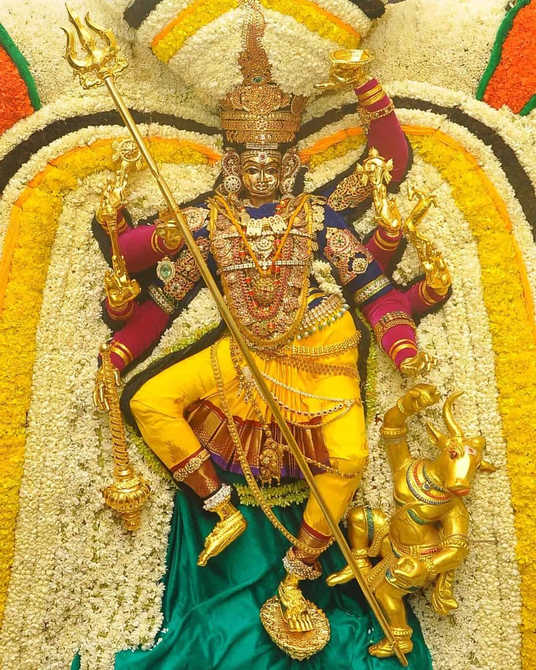 Amman Photos HD