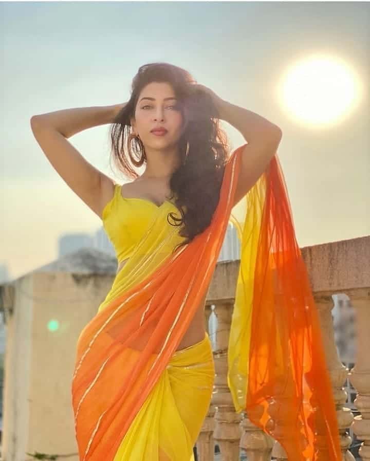 Saree Poses Images