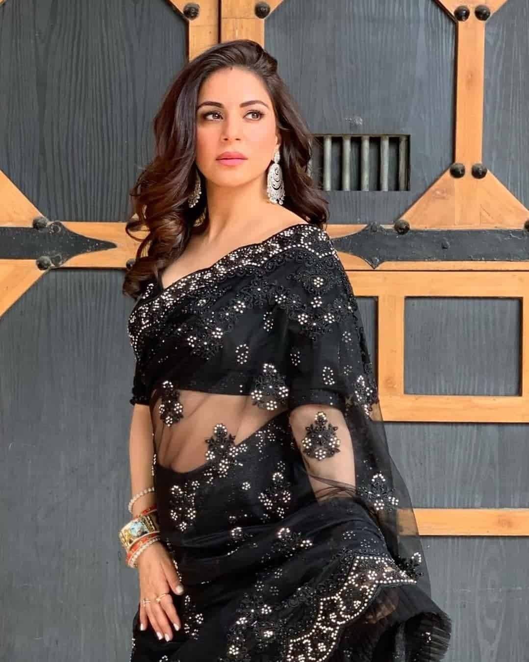 Saree Poses Pics