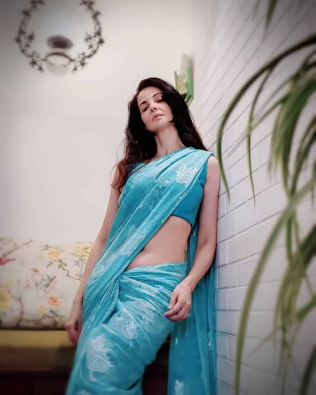 Saree Poses Pics