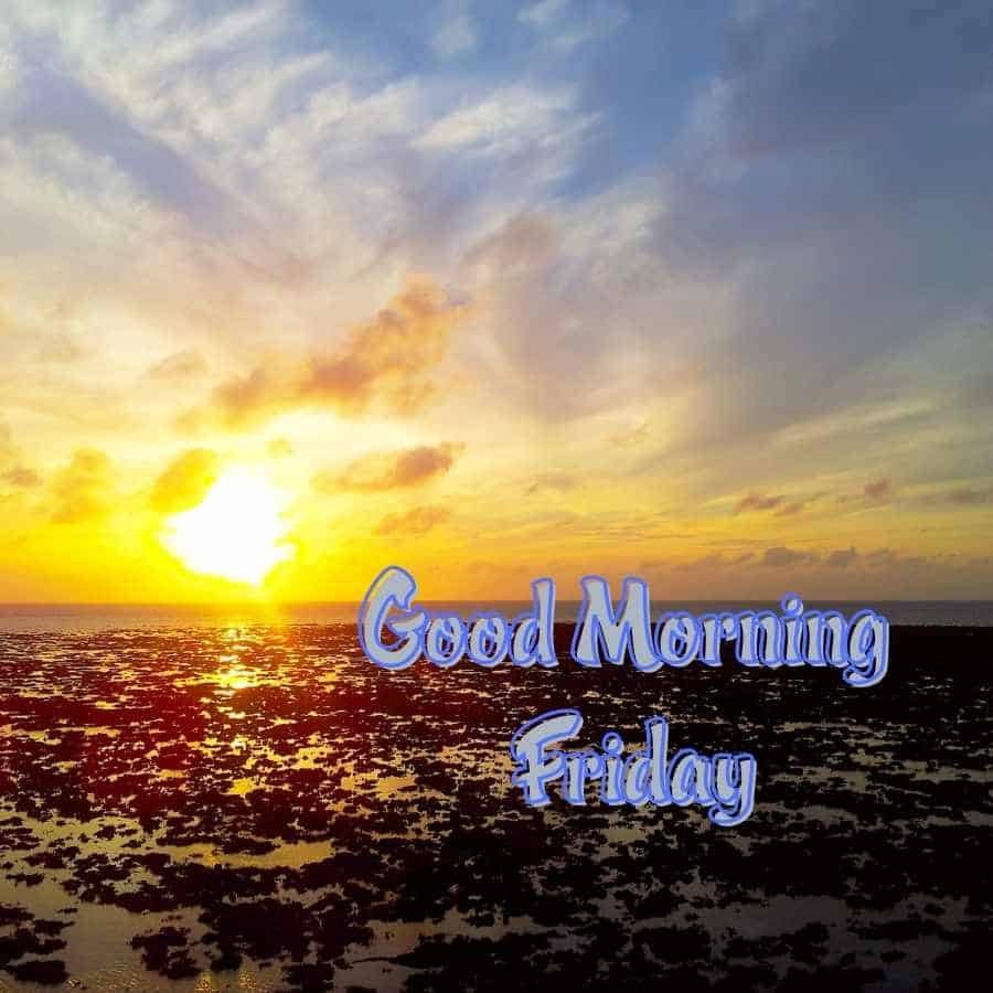 Happy Friday Images