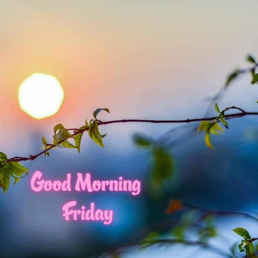 Happy Friday Images