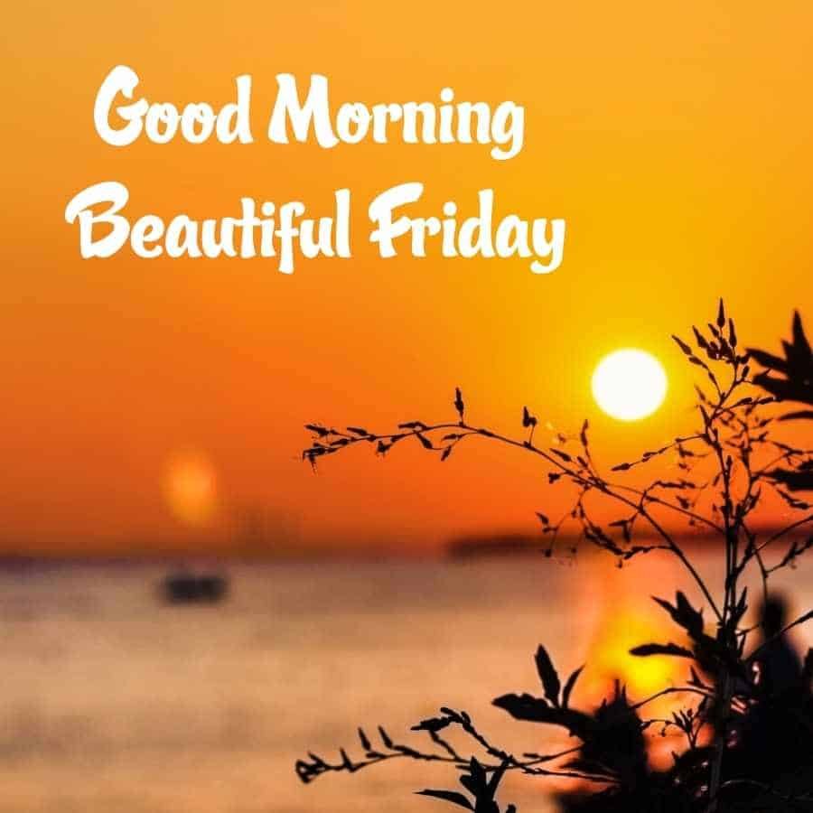 Happy Friday Images HD