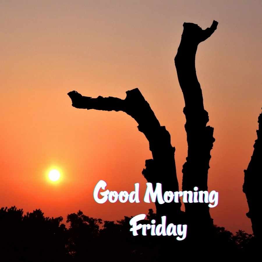 Happy Friday Images HD