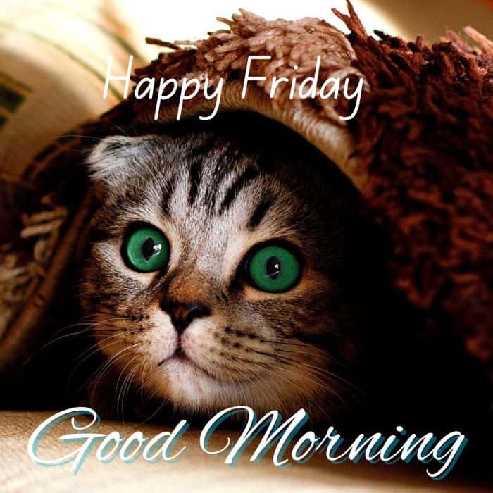 Happy Friday Images