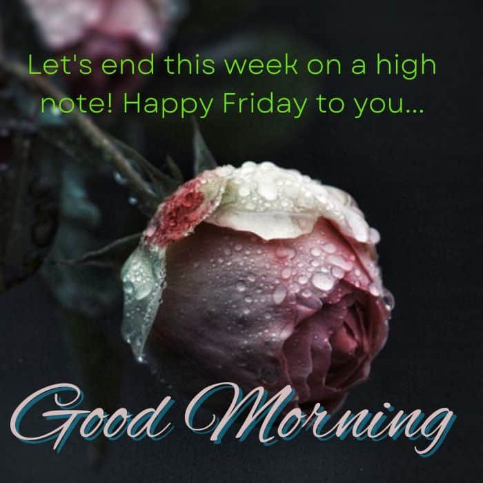 Happy Friday Photos