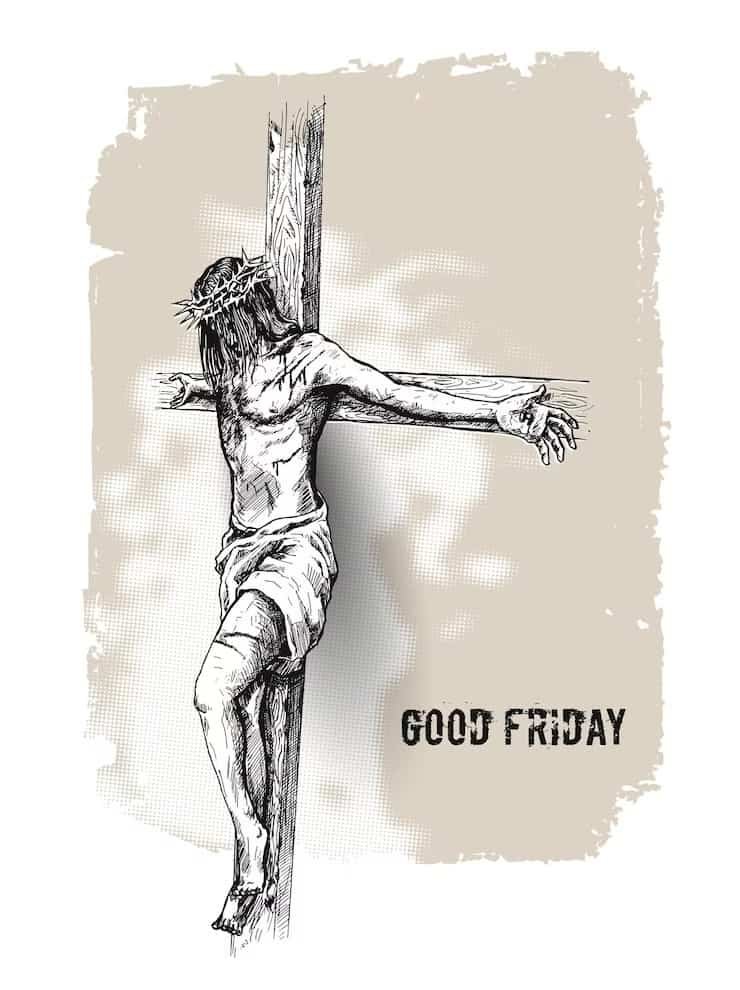 Happy Friday Pic