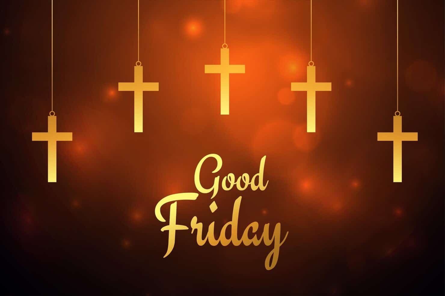 Happy Friday Pic