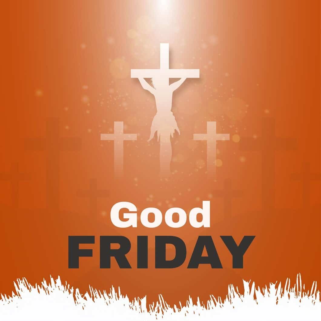 Happy Friday Pic