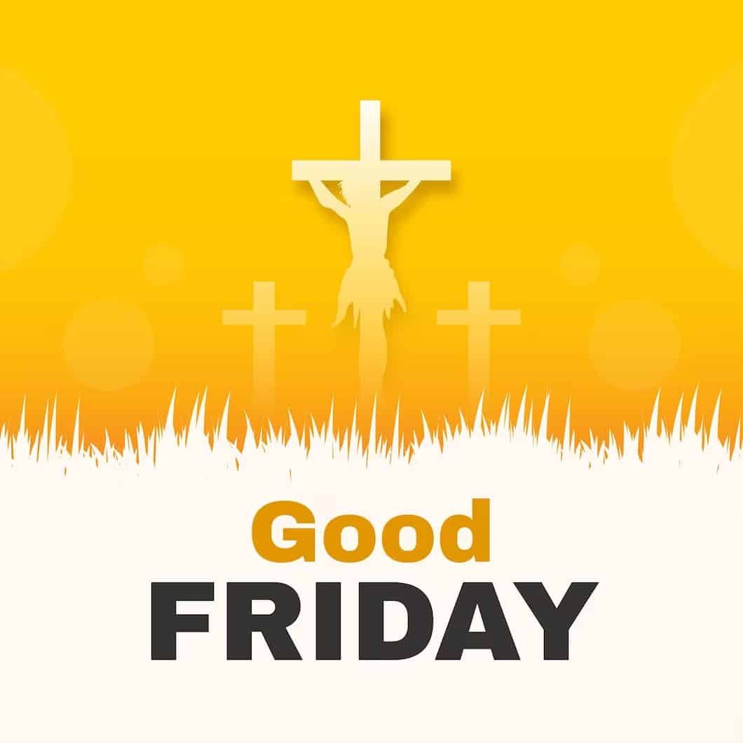 Happy Friday Pic