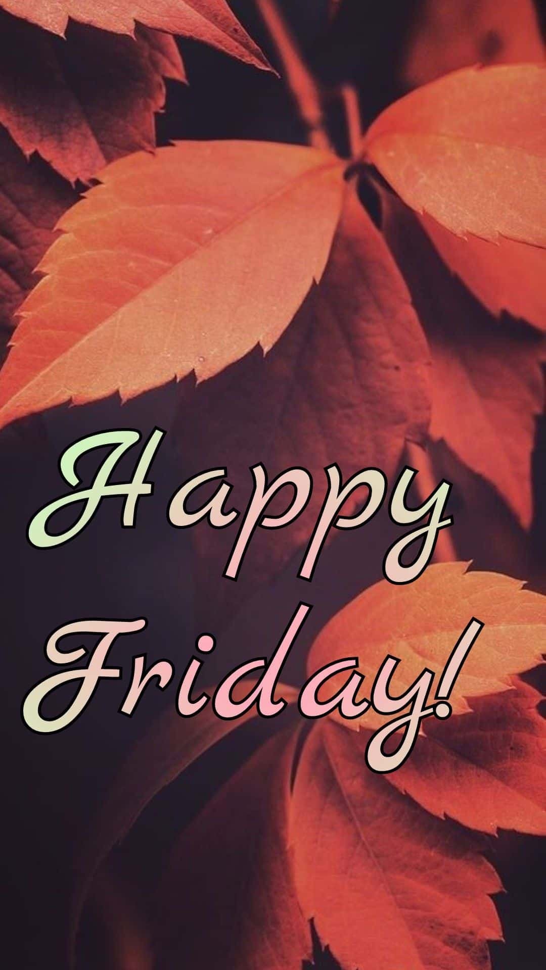 Happy Friday Pictures