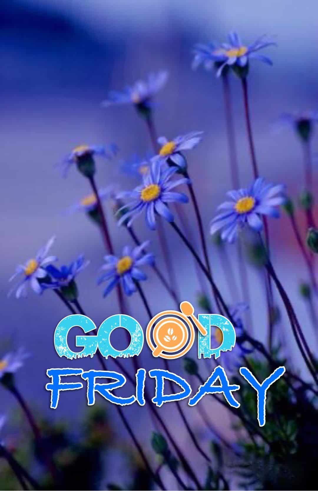 Happy Friday Pictures