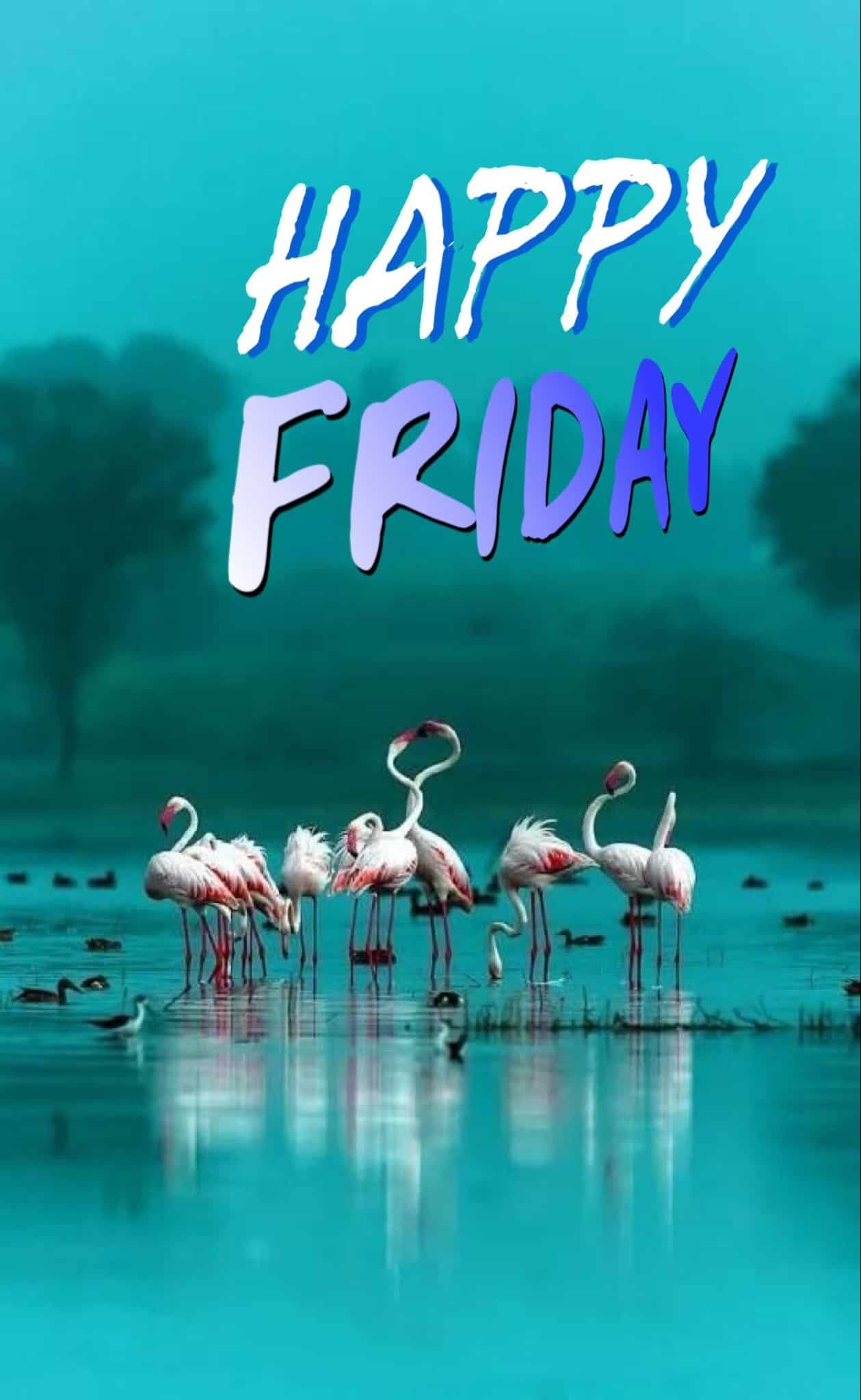 Happy Friday Pictures