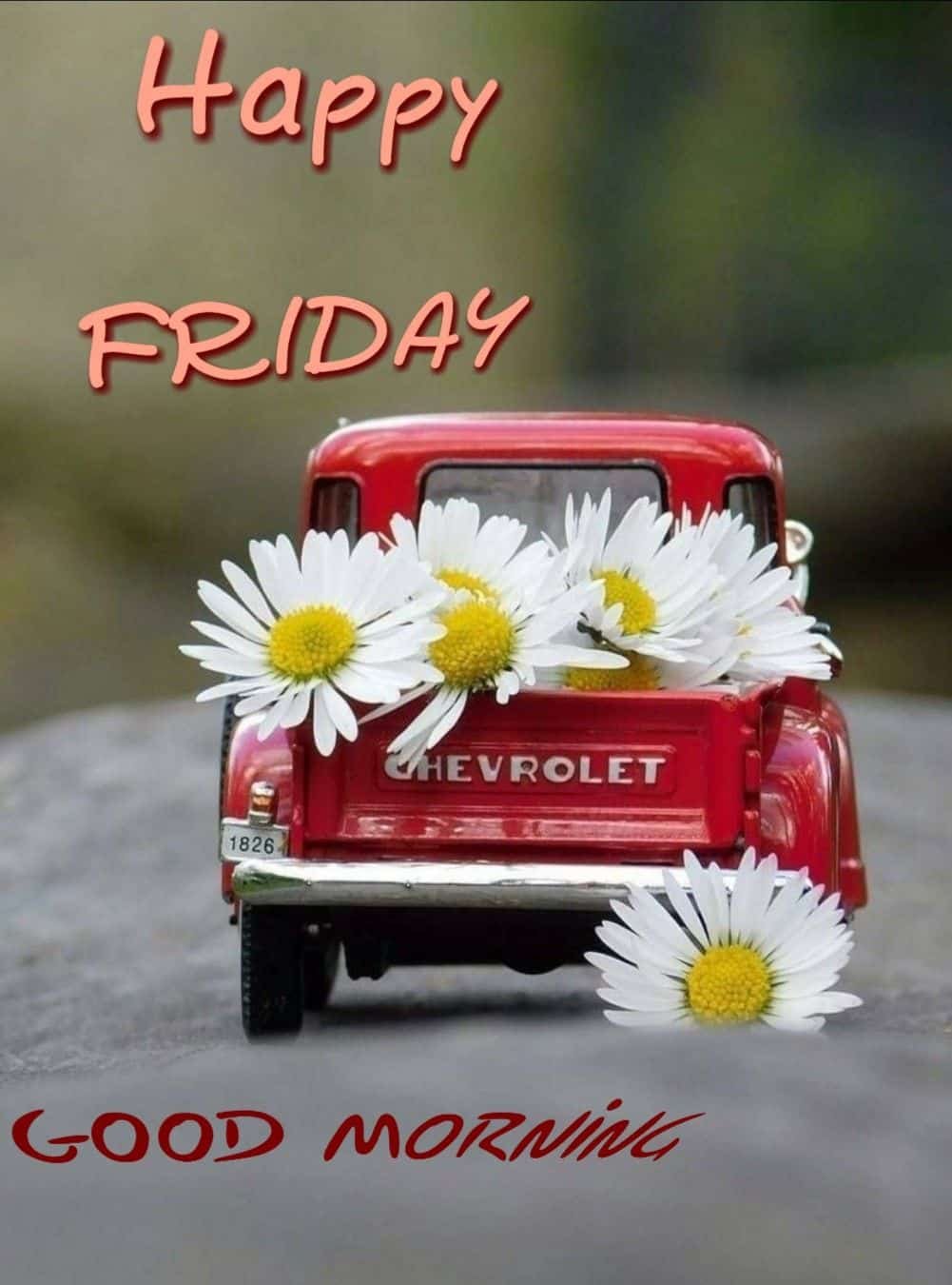 Happy Friday Pictures