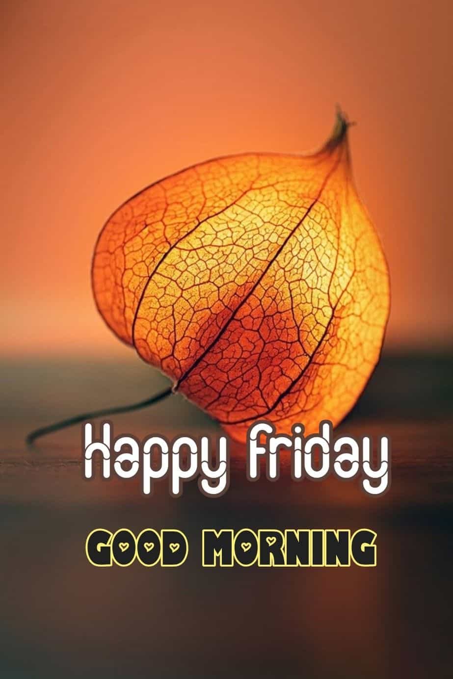 Happy Friday Pictures