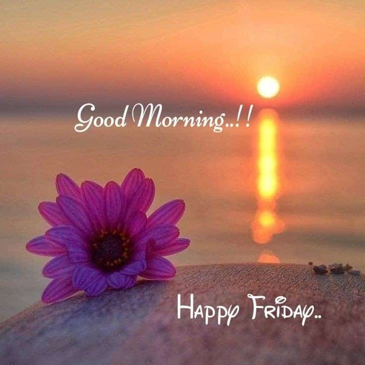 Happy Friday Wallpaper