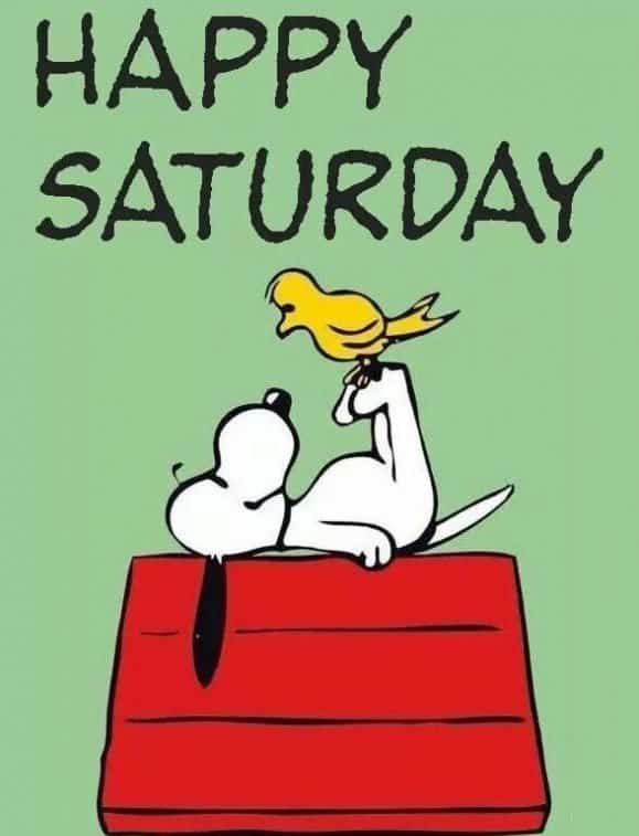 Happy Saturday Images HD