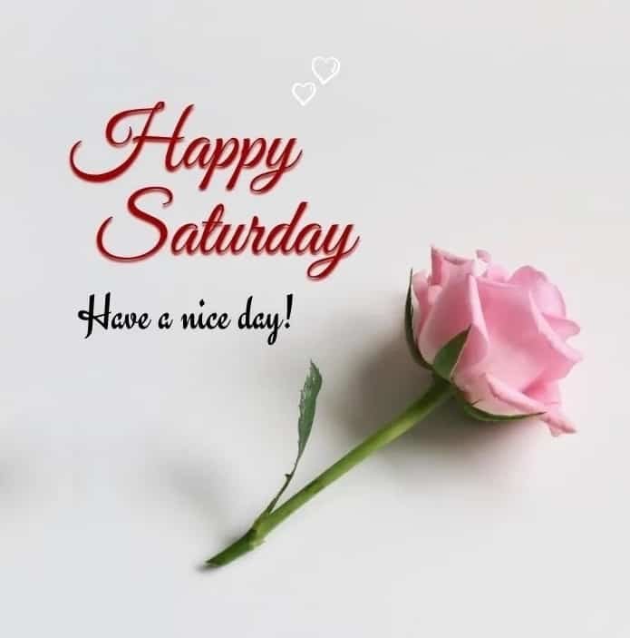 Happy Saturday Photos