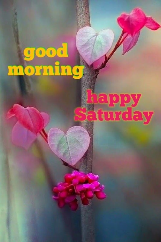 Happy Saturday Photos