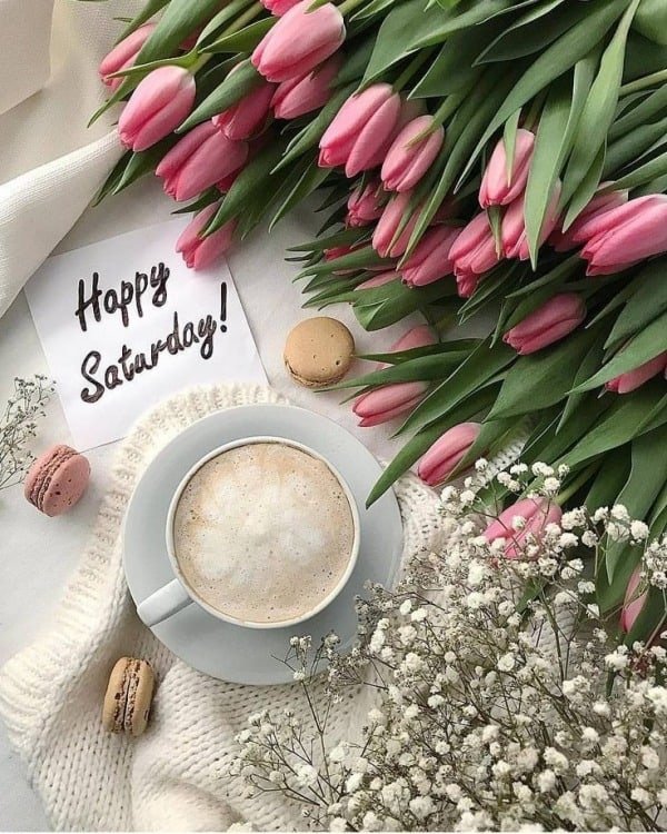 Happy Saturday Photos