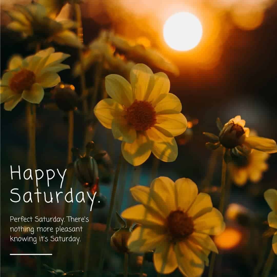 Happy Saturday Photos