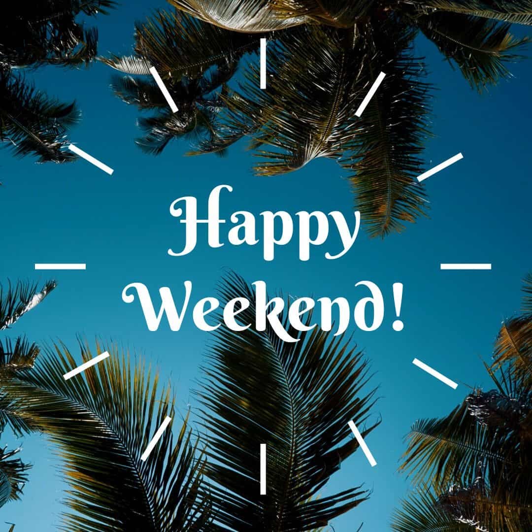 Happy Saturday Pics
