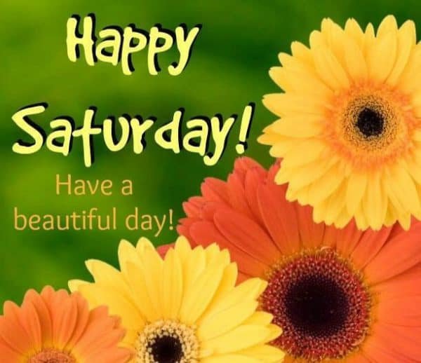 Happy Saturday Pictures