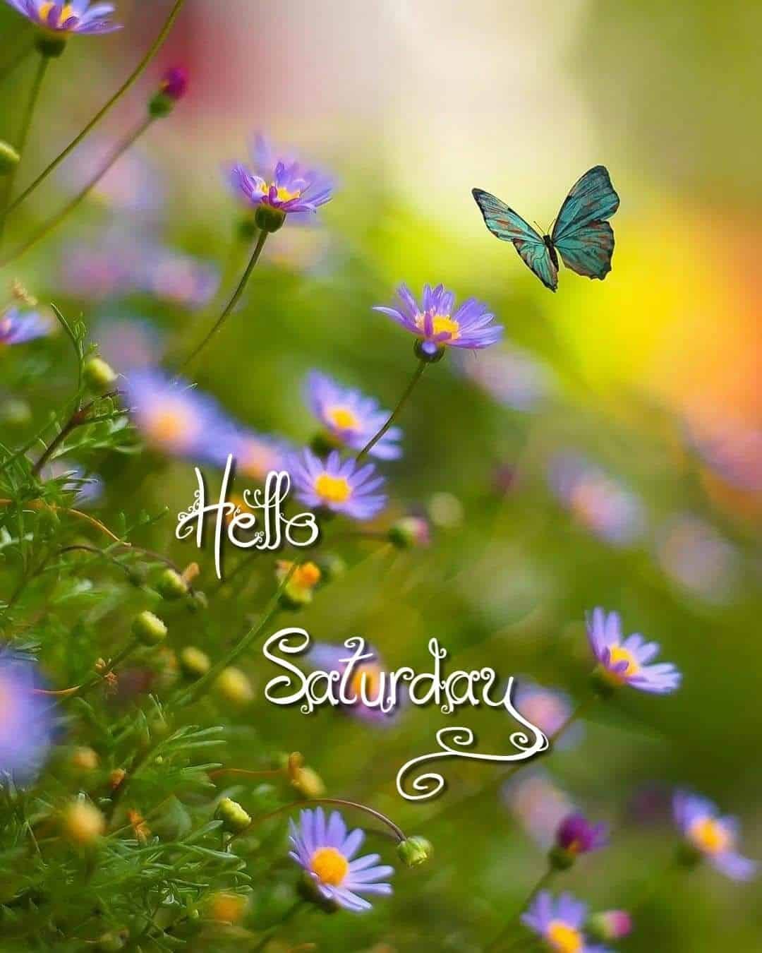 Happy Saturday Pictures