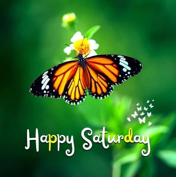 Happy Saturday Images